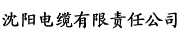 污黄色视频在线观看电缆厂logo